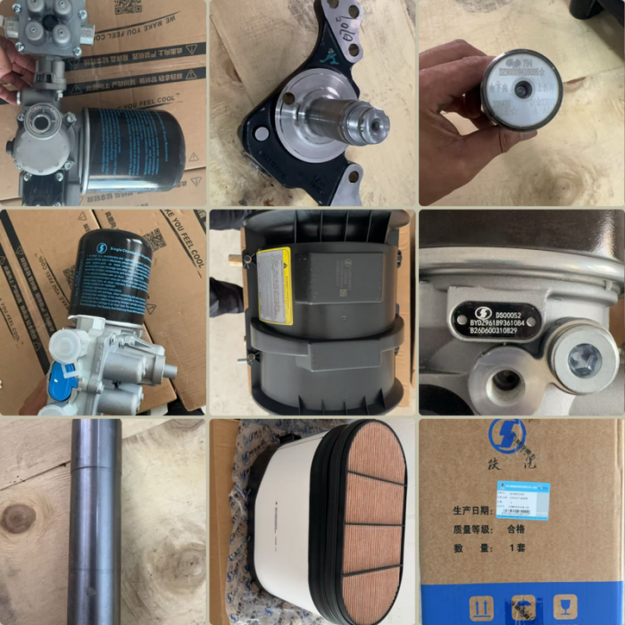 Mga Giant Order ng Mauritius Auto Parts Mga Tunay na Spare Part ng SHACMAN, Unang Pagpapadala na Naipadala na may Planong Follow-up Order
